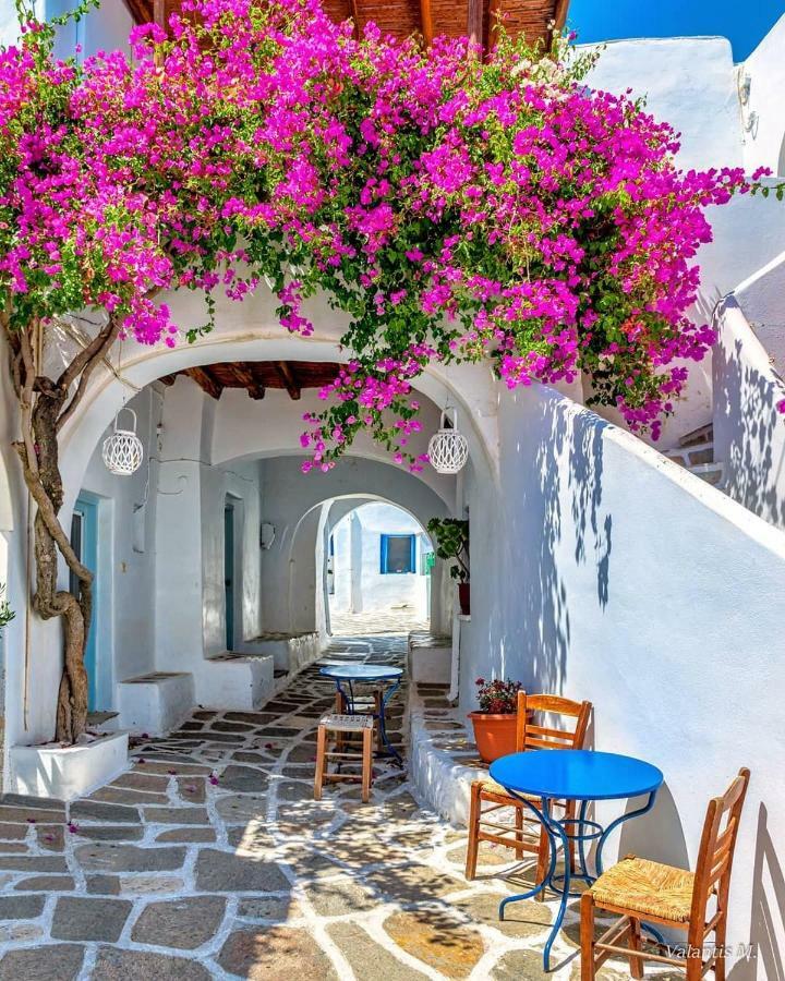 Villa Kavalli Paros Dhragoulas Zewnętrze zdjęcie