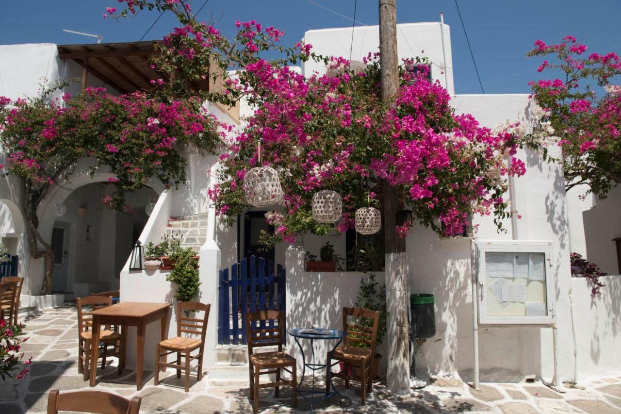 Villa Kavalli Paros Dhragoulas Zewnętrze zdjęcie